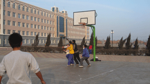 七台河市第六中學