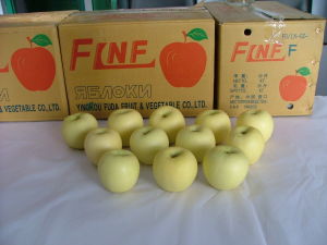 營口富達果菜保鮮有限公司