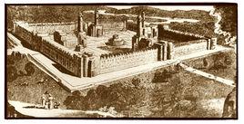 新和諧公社 新和諧公社