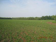 杜陵國家遺址公園