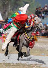 波密縣人文風貌