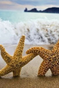 其貌不揚 其貌不揚