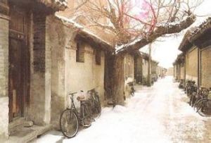 柳罐胡同 柳罐胡同