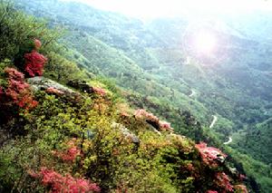 （圖）大余灣村