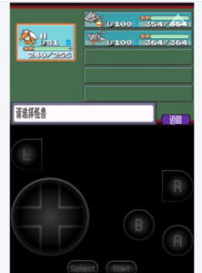 口袋怪獸紅寶石386完美版