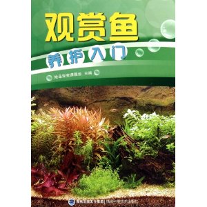 觀賞魚養護入門