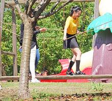 鹽城大縱湖旅遊度假區高清組圖