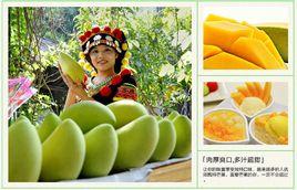 黑姐芒果 黑姐芒果