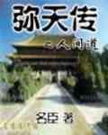 彌天傳[小說]