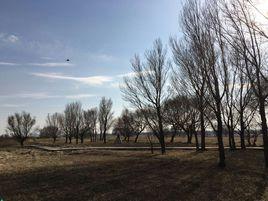 賽汗塔拉 賽汗塔拉