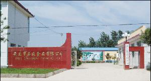 安丘市昌盛食品有限責任公司