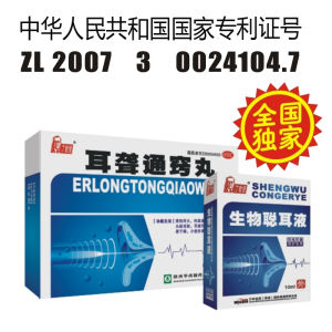 丁教授聰耳組合 丁教授聰耳組合