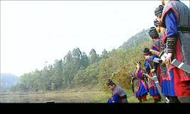 崇慶七鷹 崇慶七鷹