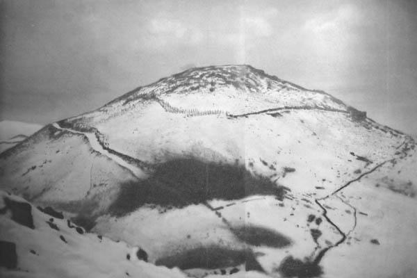 日本明治末期有種很流行的髮型,它的名字與來歷卻少人知曉