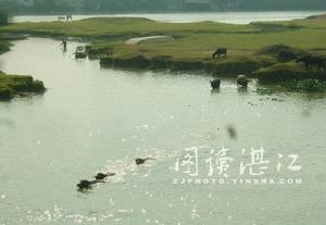 博鋪——田園牧歌