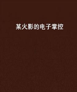 某火影的電子掌控 某火影的電子掌控
