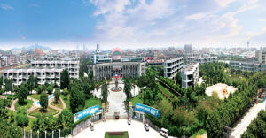 東莞市沙田東方明珠學校 東莞市沙田東方明珠學校