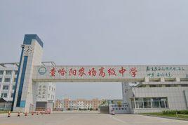 查哈陽農場高級中學 查哈陽農場高級中學