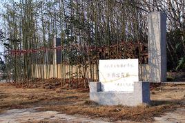 三國東吳墓 三國東吳墓