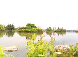 海珠湖公園 海珠湖公園