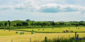 坎特伯里平原 坎特伯里平原