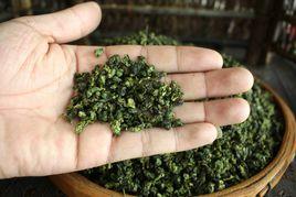 安溪六大名茶 安溪六大名茶