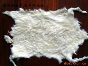 湖羊皮 湖羊皮