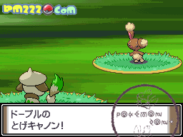 尖刺加農炮 尖刺加農炮