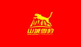 重慶市“山城雪豹”搶險救災青年突擊隊