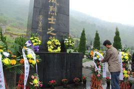 劉彩鳳[革命烈士]