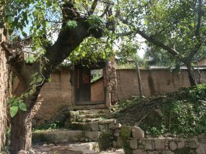 大樂秋大村 大樂秋大村