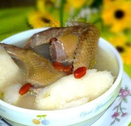 淮山乳鴿湯 淮山乳鴿湯