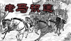 老馬識途 老馬識途