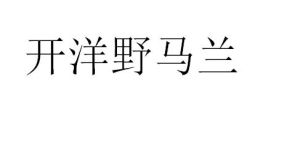 開洋野馬蘭