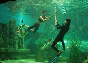 中泰海底世界景觀