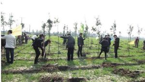 建設“碳匯”紀念林