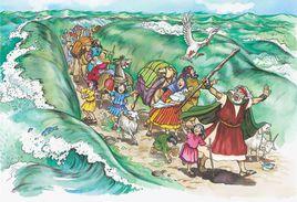 大海中的道路 大海中的道路