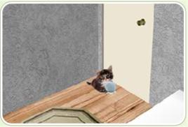 經典密室逃生 經典密室逃生