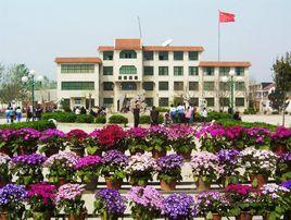 單縣職業中等專業學校 單縣職業中等專業學校