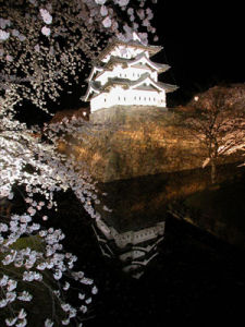 弘前城夜櫻