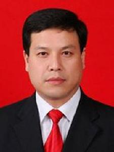 陳璇[陝西省山陽縣委副書記、縣長]