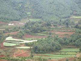 中心村[雲南保山市騰衝市新華鄉下轄村]
