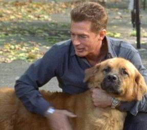 《你是我爸爸》