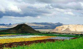 阿拉穆特 阿拉穆特