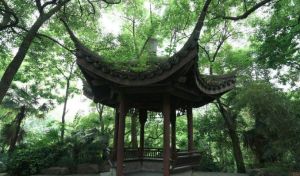 海霞西爽 海霞西爽