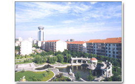 泰達荷銀基金管理有限公司