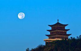 陳淋子鎮 陳淋子鎮