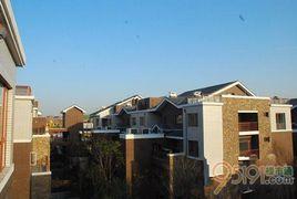 龍湖曲江盛景 龍湖曲江盛景