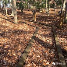 威廉與瑪麗學院