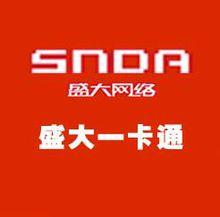 盛大一卡通